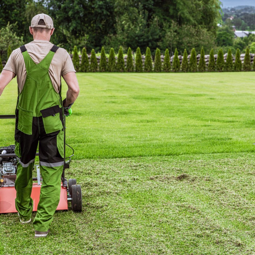 gardener mowing the yard