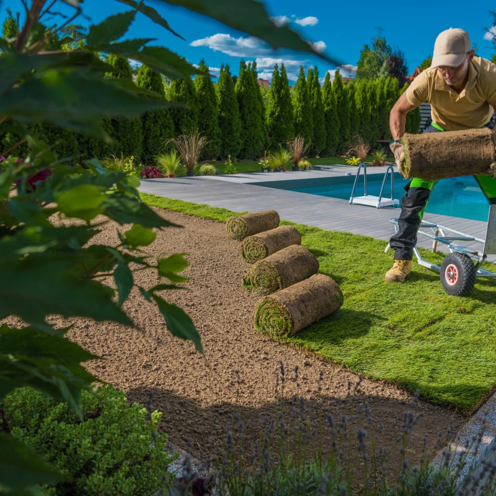 Landscaping Worker Installing Fresh Lawn Made From Natural Grass