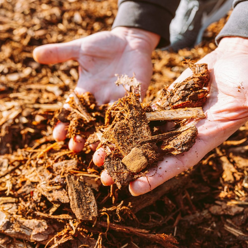 man hands holding woodchip's